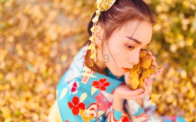 雏菊花园逃生