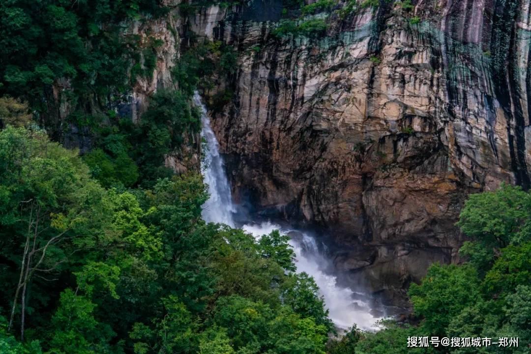 照顾小兔宝宝