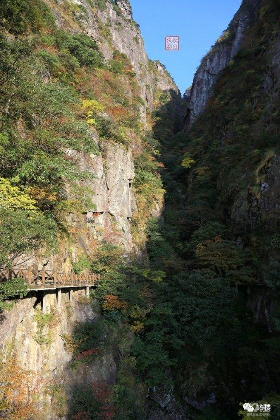 河南大学师范类思想政治教育毕业后能找啥工作?